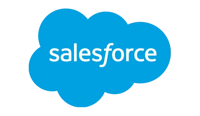Salesforce Develope